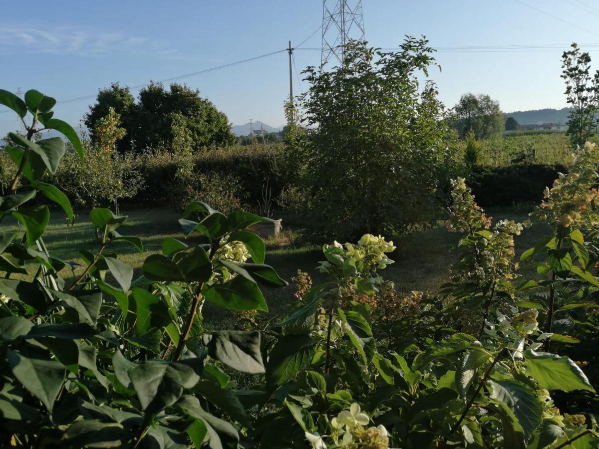 Ca' Blanca Bed & Breakfast Castelnuovo del Garda Ngoại thất bức ảnh