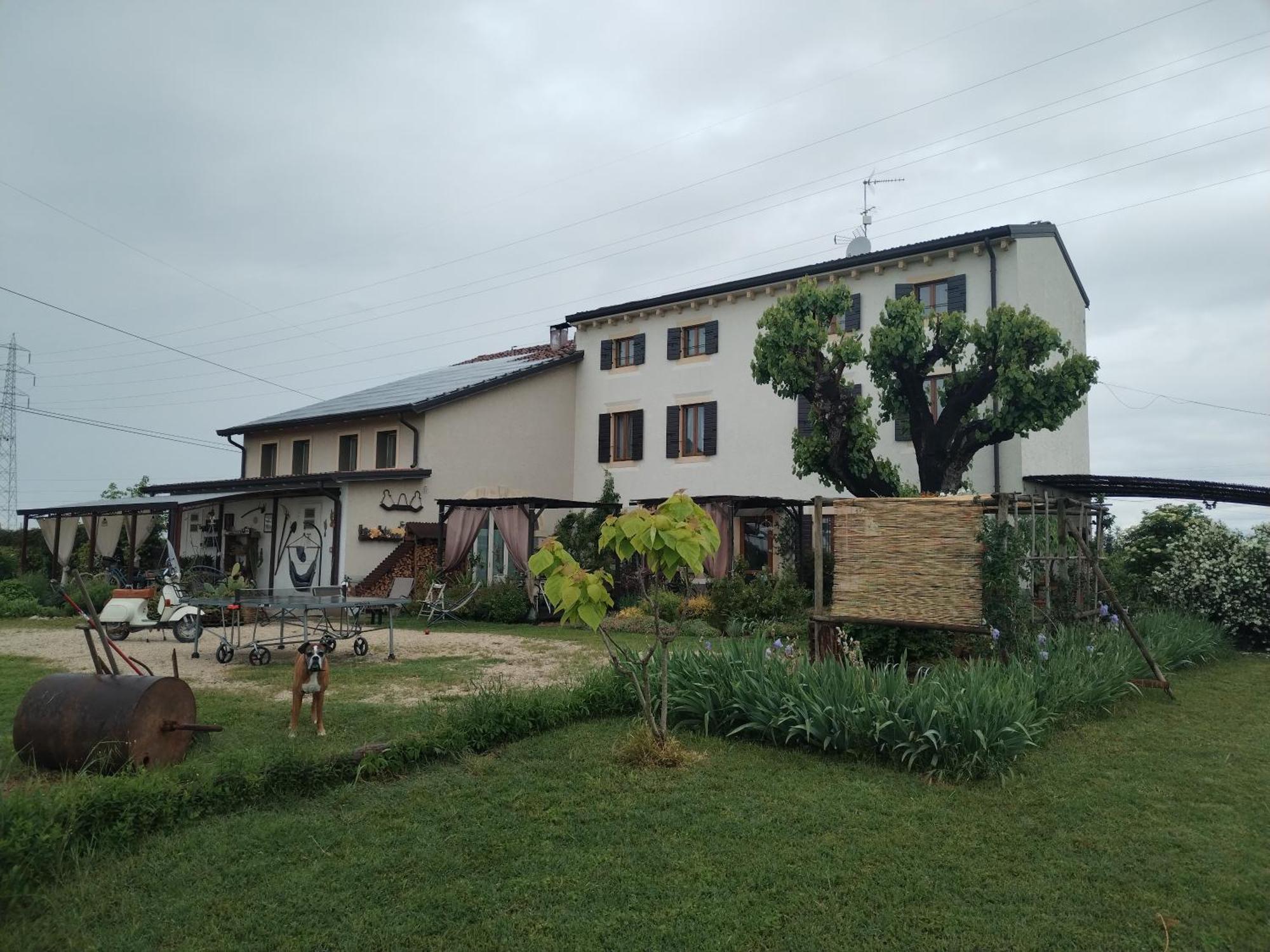 Ca' Blanca Bed & Breakfast Castelnuovo del Garda Ngoại thất bức ảnh