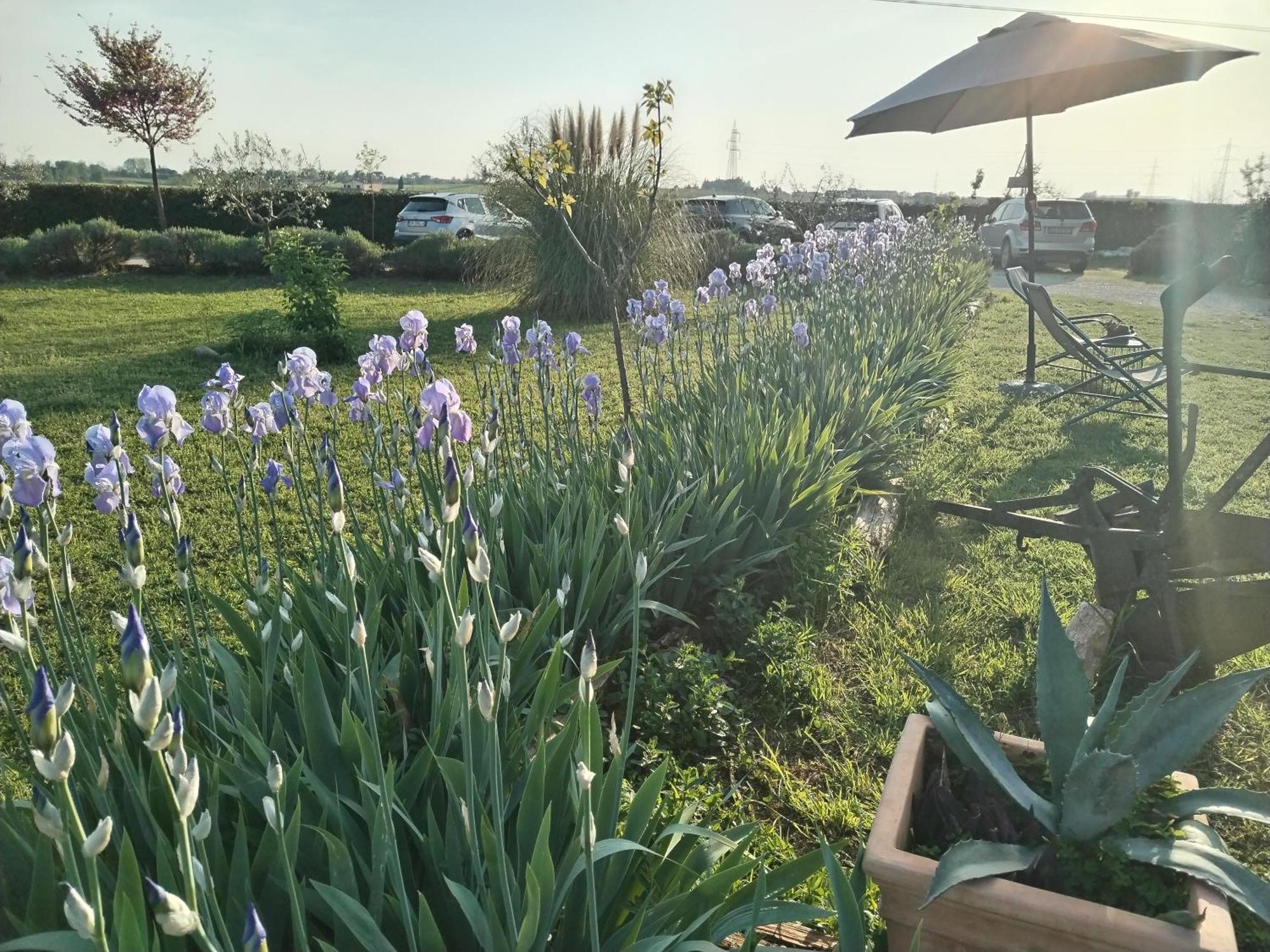 Ca' Blanca Bed & Breakfast Castelnuovo del Garda Ngoại thất bức ảnh
